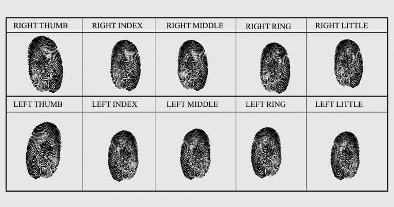 Finger Prints